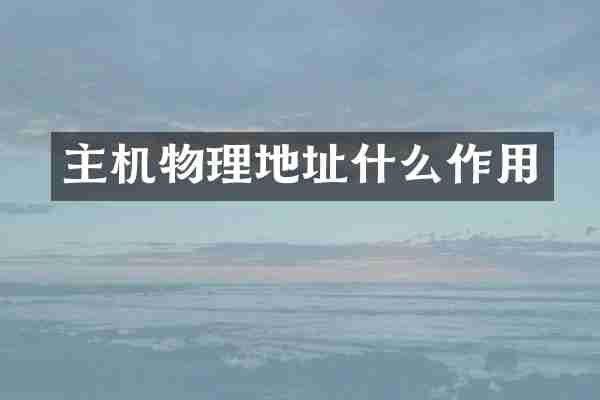 主机物理地址什么作用
