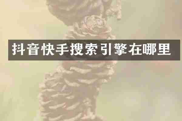 抖音快手搜索引擎在哪里
