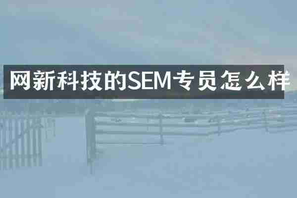 网新科技的SEM专员怎么样