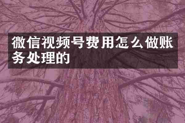 微信视频号费用怎么做账务处理的