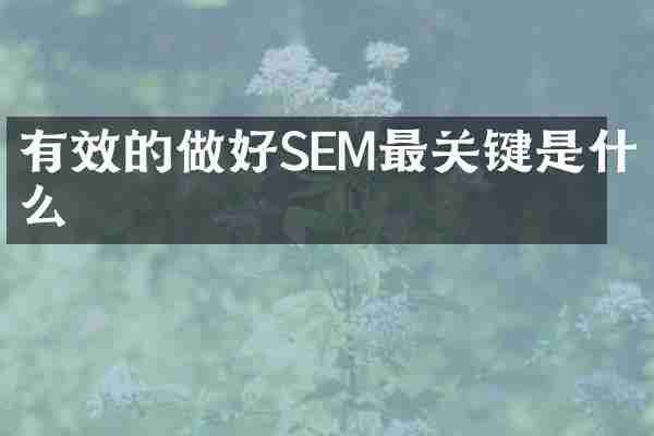 有效的做好SEM最关键是什么