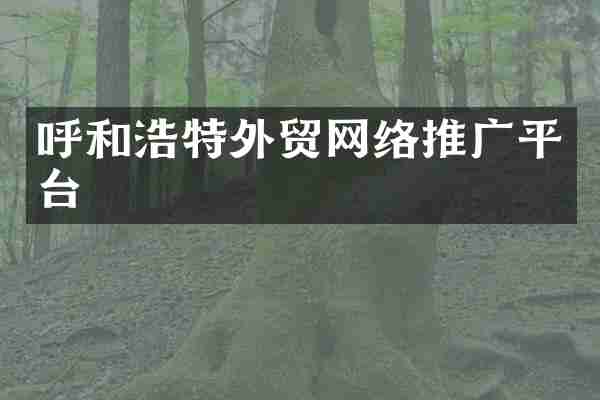 呼和浩特外贸网络推广平台