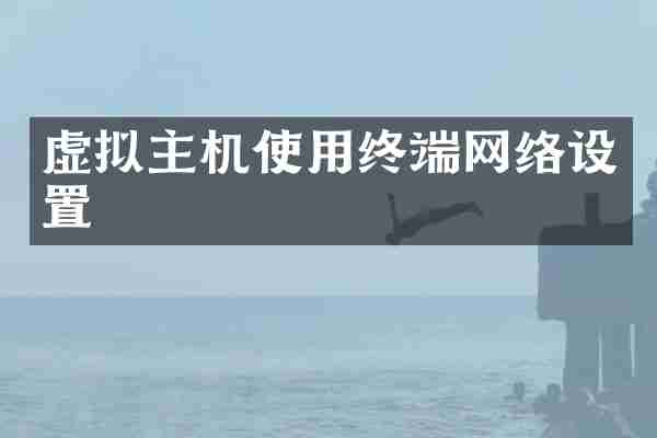 虚拟主机使用终端网络设置