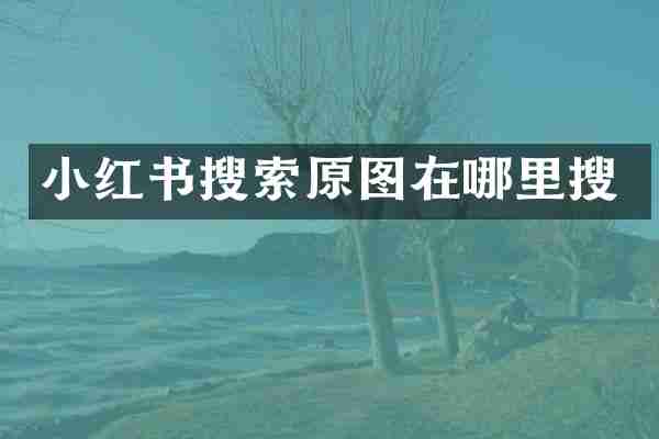 小红书搜索原图在哪里搜