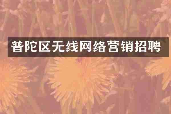 普陀区无线网络营销招聘
