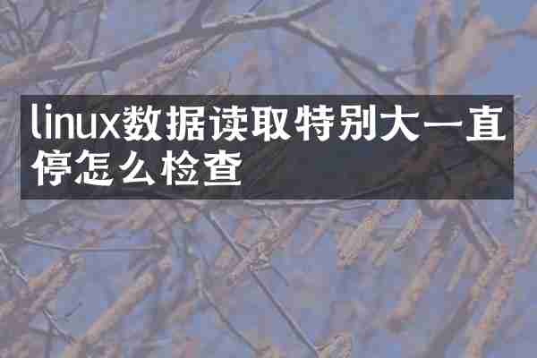 linux数据读取特别大一直不停怎么检查