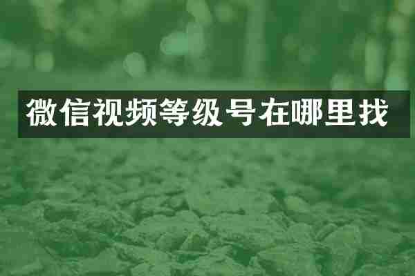 微信视频等级号在哪里找