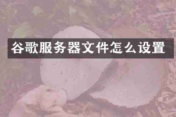 谷歌服务器文件怎么设置