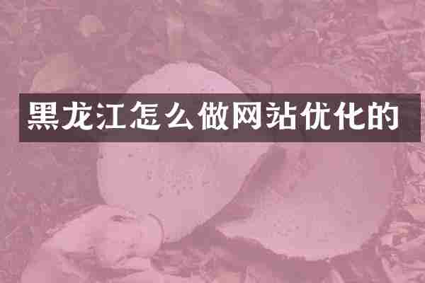 黑龙江怎么做网站优化的
