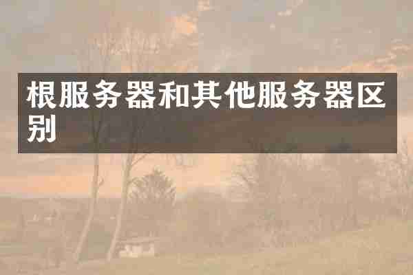 根服务器和其他服务器区别