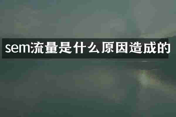 sem流量是什么原因造成的