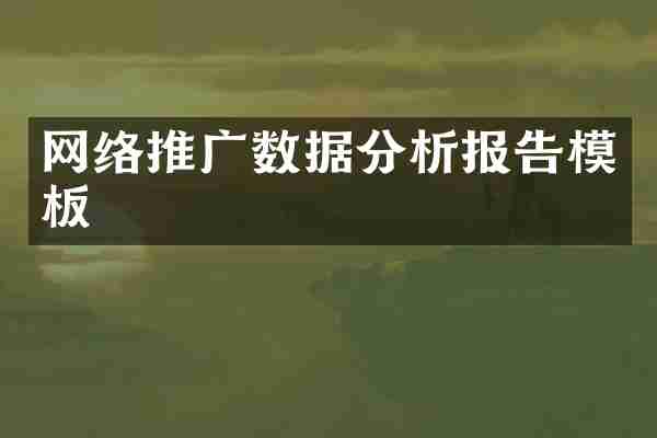 网络推广数据分析报告模板