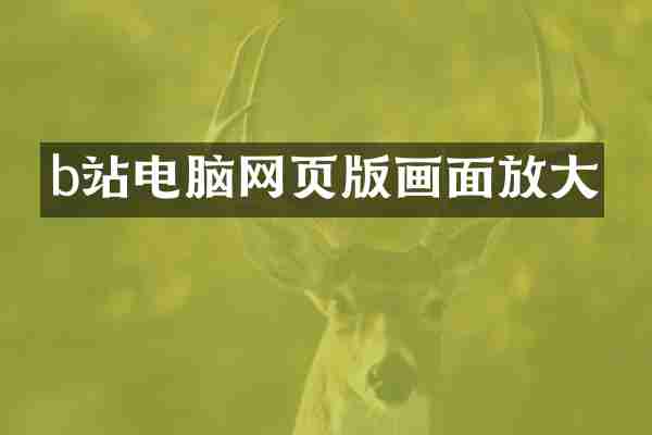 b站电脑网页版画面放大