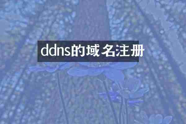 ddns的域名注册