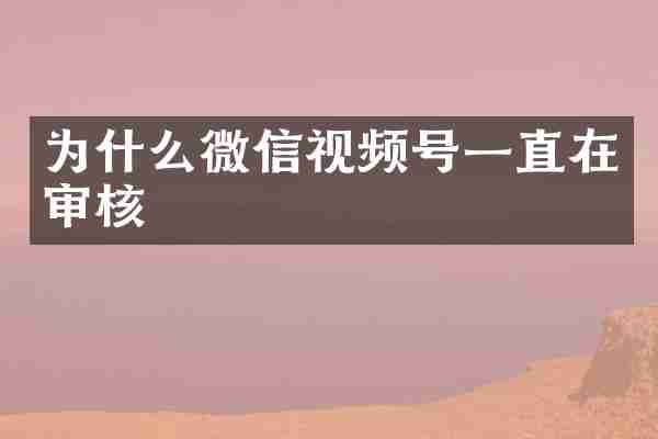 为什么微信视频号一直在审核