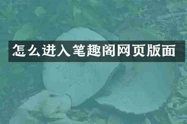 怎么进入笔趣阁网页版面