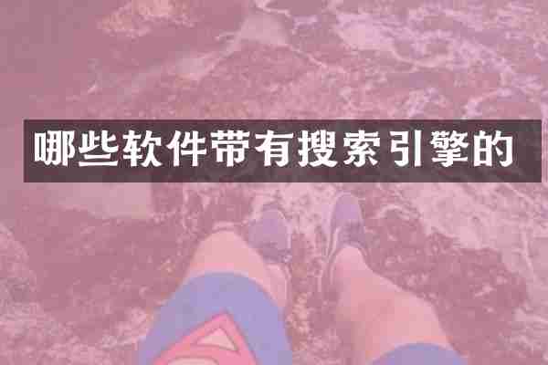 哪些软件带有搜索引擎的
