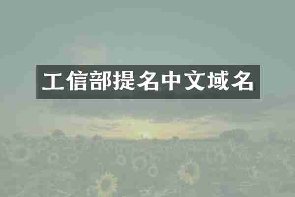 工信部提名中文域名