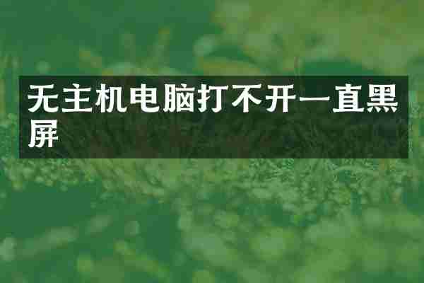 无主机电脑打不开一直黑屏