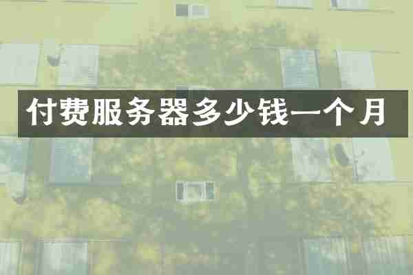 付费服务器多少钱一个月