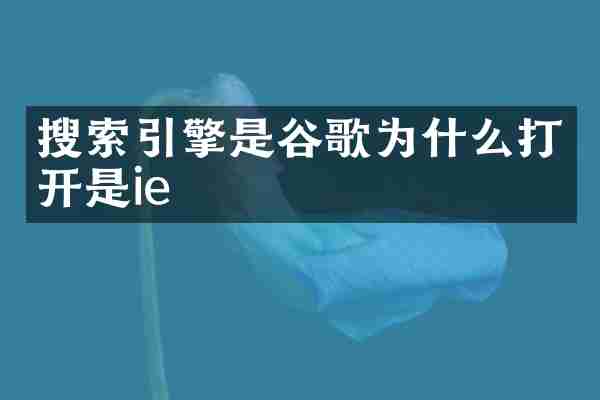 搜索引擎是谷歌为什么打开是ie