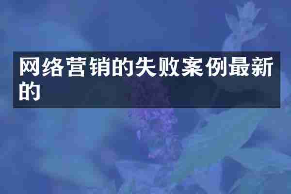 网络营销的失败案例最新的