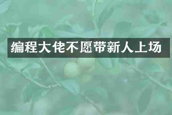 编程大佬不愿带新人上场