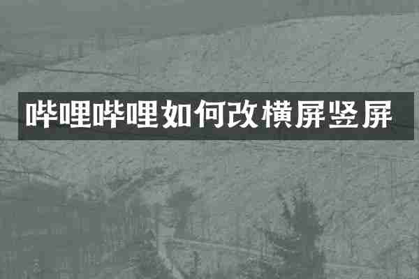 哔哩哔哩如何改横屏竖屏