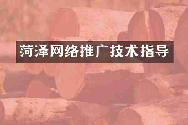 菏泽网络推广技术指导