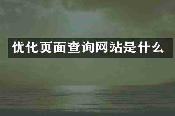 优化页面查询网站是什么