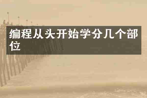 编程从头开始学分几个部位