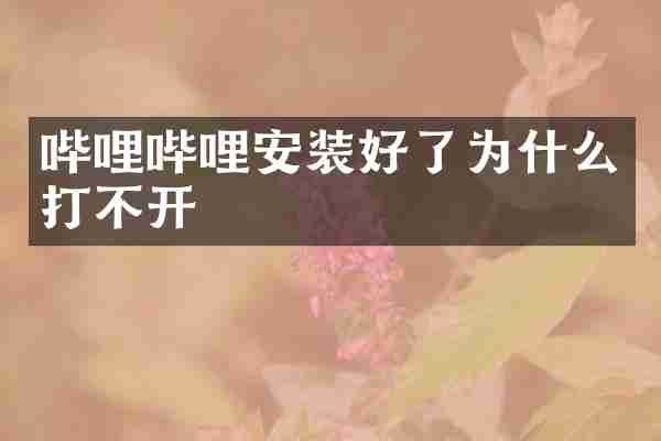 哔哩哔哩安装好了为什么打不开