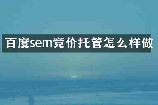 百度sem竞价托管怎么样做