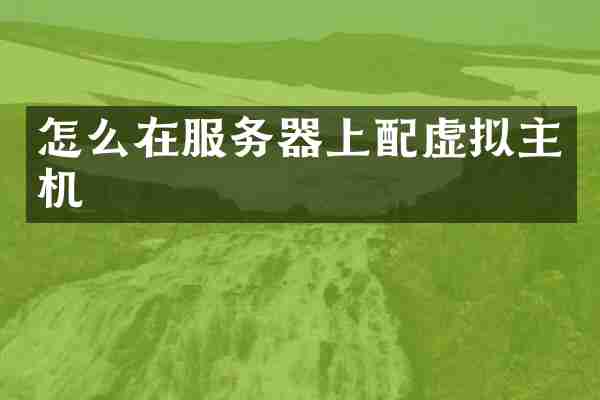 怎么在服务器上配虚拟主机