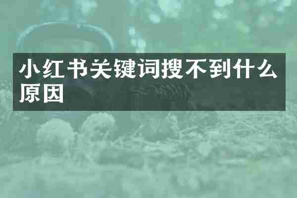 小红书关键词搜不到什么原因