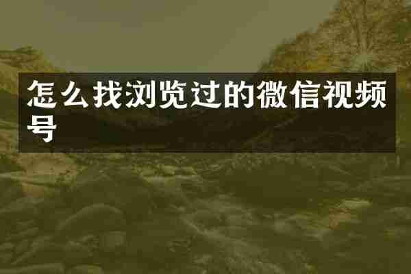怎么找浏览过的微信视频号