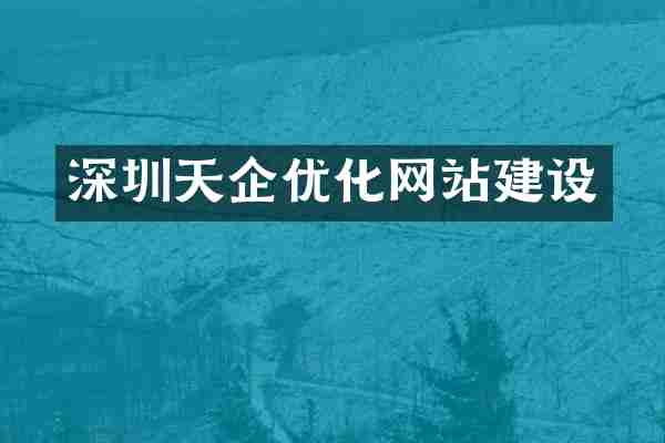 深圳天企优化网站建设