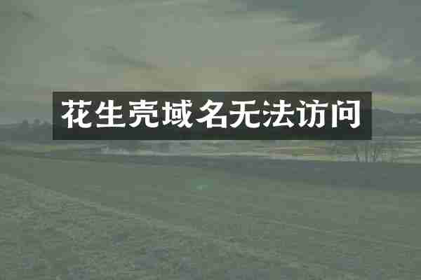 花生壳域名无法访问
