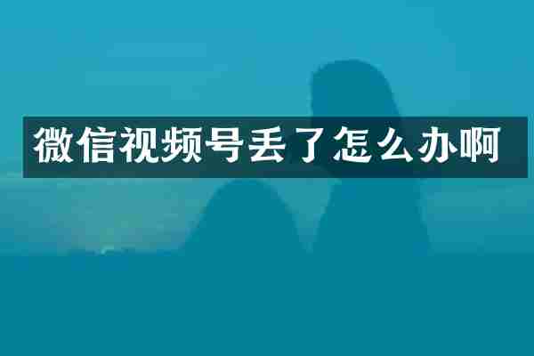 微信视频号丢了怎么办啊