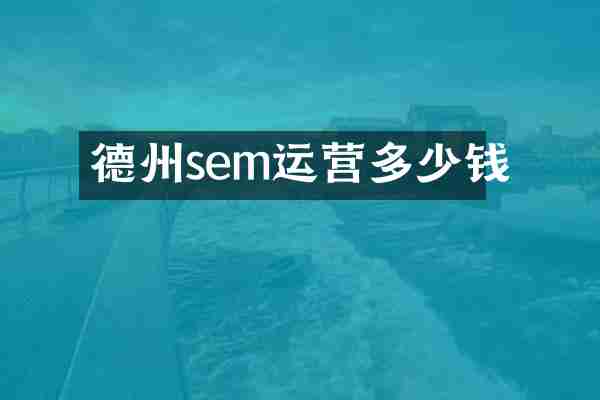 德州sem运营多少钱