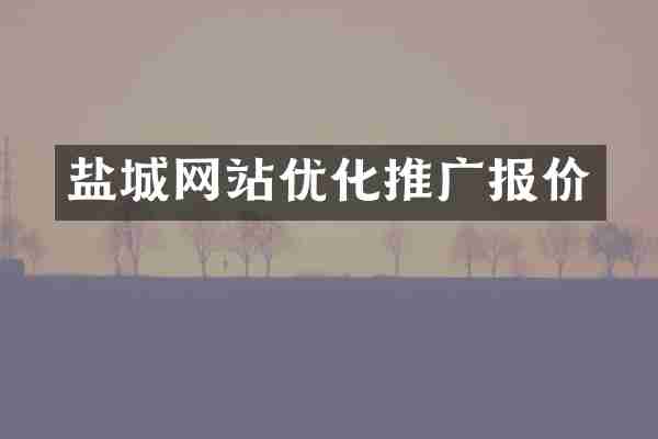 盐城网站优化推广报价