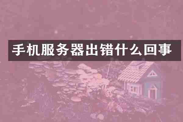 手机服务器出错什么回事