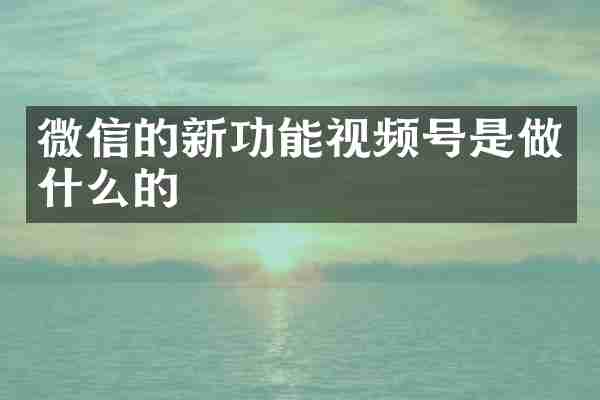 微信的新功能视频号是做什么的
