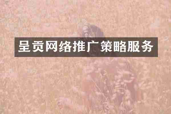 呈贡网络推广策略服务