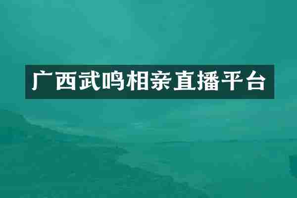 广西武鸣相亲直播平台