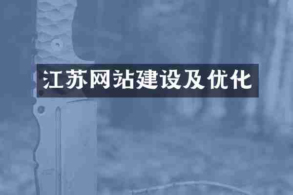 江苏网站建设及优化