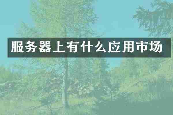 服务器上有什么应用市场