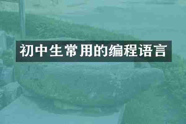 初中生常用的编程语言