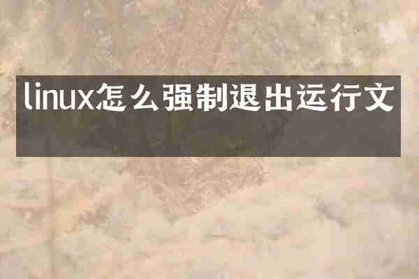 linux怎么强制退出运行文件