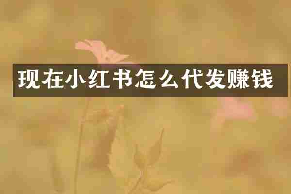 现在小红书怎么代发赚钱
